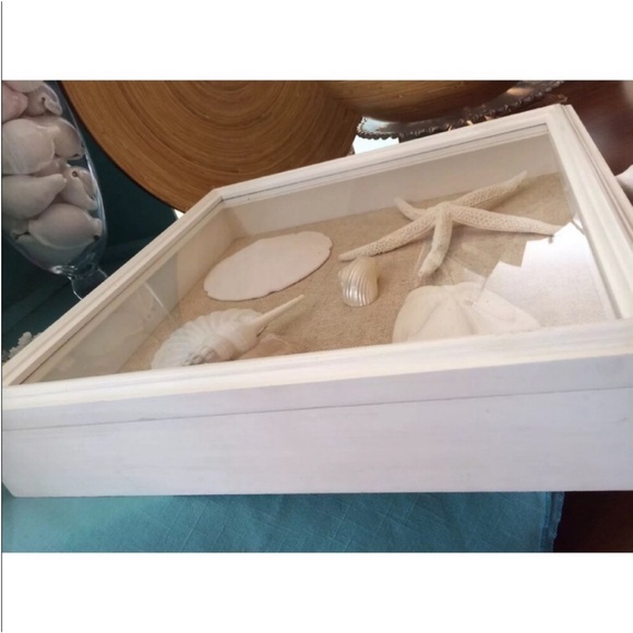 New!  Seashell & Starfish Large Shadow Box - Picture 4 of 6